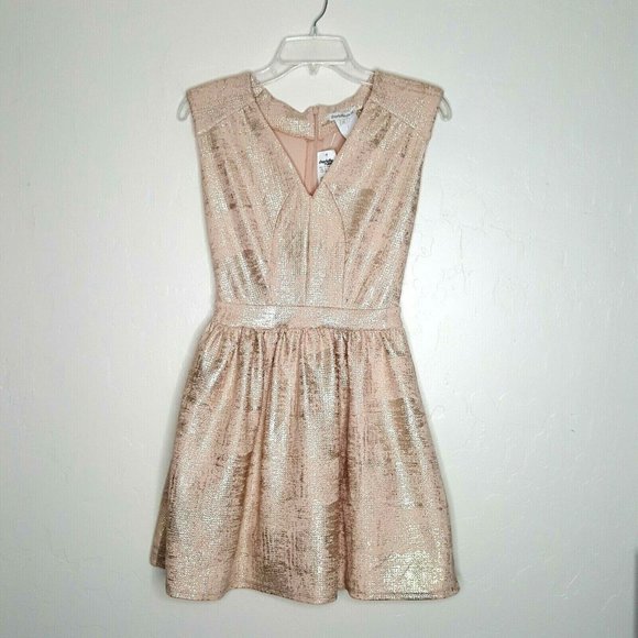 Charlotte Russe Size Small Pink Silver Skater Dress Sleeveless Back Zip NWT - Picture 1 of 7